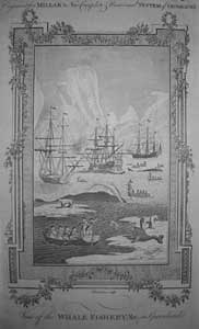 Thornton Miller whale fishery1775
